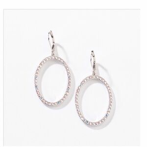 Elegant Silver Crystal Oval Hoop Earrings